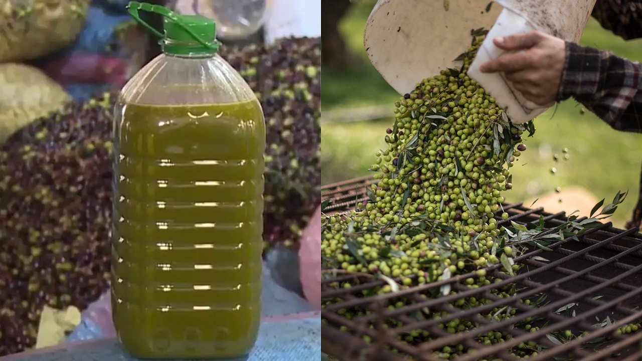 استيراد زيت الزيتون في المغرب : قلق المواطنين من الأسعار والاحتكار