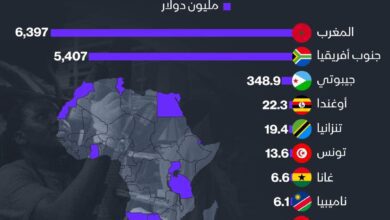 بعد إعلان اعتلائه عرش تصنيع السيارات إفريقيا ، سر نجاح المغرب في هذا المجال وهذه ضريبة النجاح