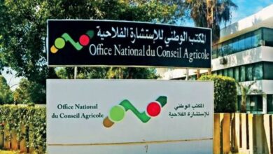المديرية الجهوية للاستشارة الفلاحية لجهة الشرق تشارك في فعاليات الدورة الحادية عشرة للمعرض الجهوي للمنتوجات المجالية بالسعيدية
